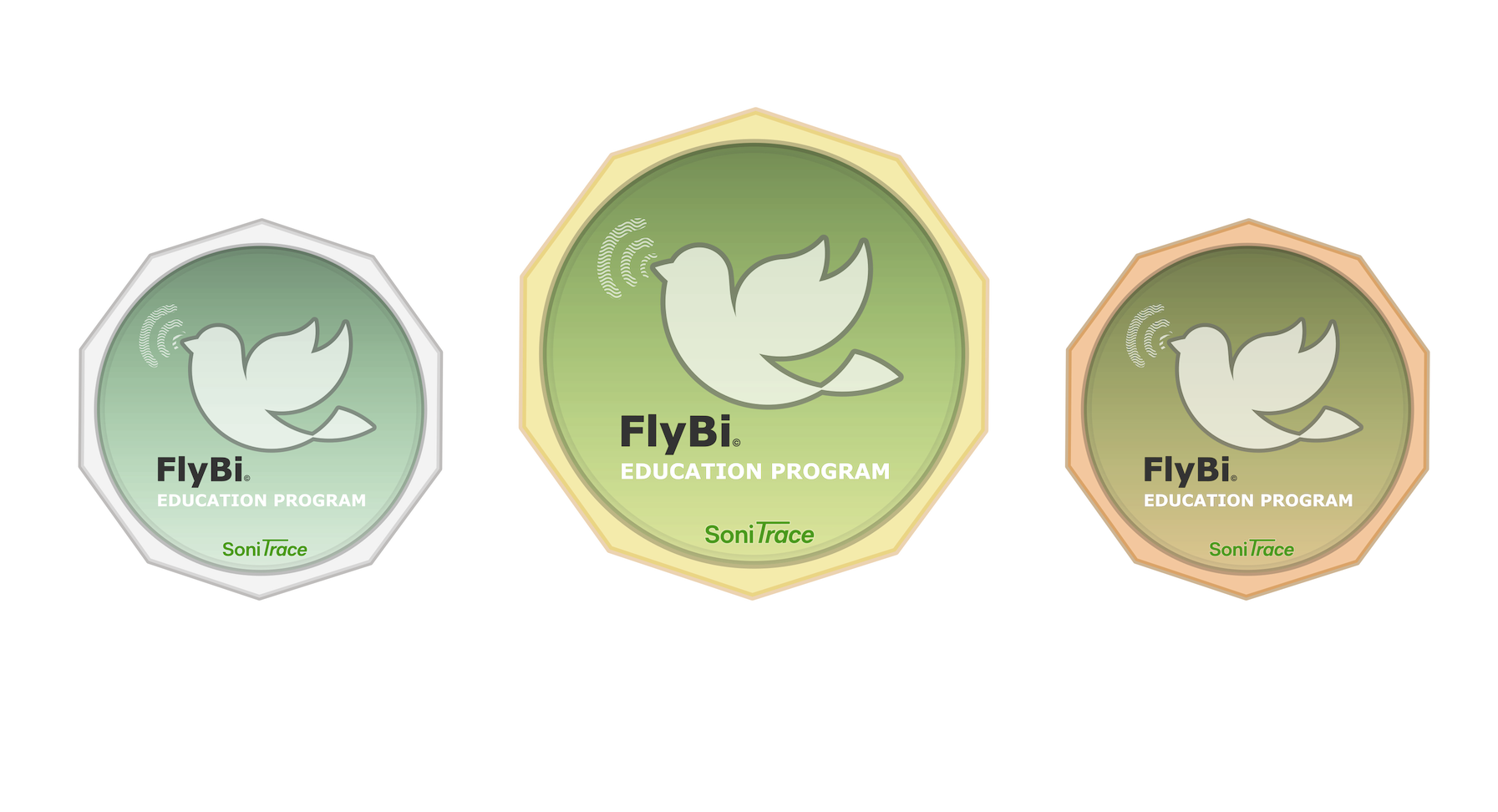 FlyBi Gerät im Einsatz